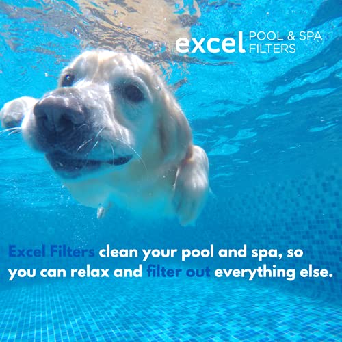 XLS-778 4 Pack Replacement Filter for Hayward C5020, C5025, C5030. Also Replaces Unicel C-7494, Filbur FC-1227, Pleatco PA-131