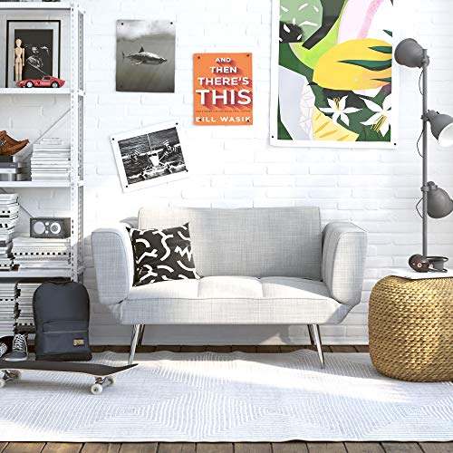 Novogratz Leyla Loveseat with Magazine Storage, Adjustable Sofa Bed Armrests to Convert into a Couch Sleeper, Light Gray Futon