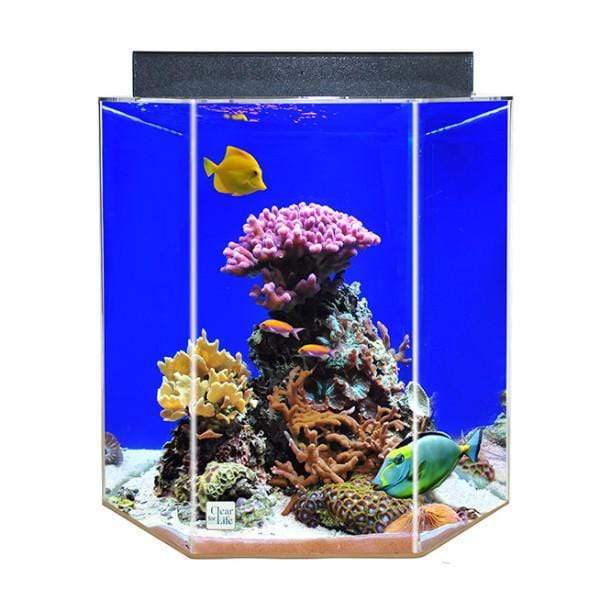 Clear For Life Hexagon UniQuarium 3-in-1 Fresh or Saltwater Acrylic Aquarium