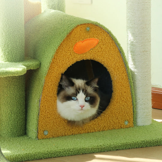 Jungle World Cat Tree