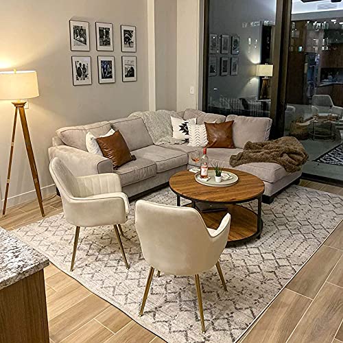 GOLDEN BEACH Velvet Dinning Chair Set of 2 Mid-Back Accent Chair Modern Leisure Armchair with Gold Plating Legs Upholstered Living Room Chair (Beige-2PCS)