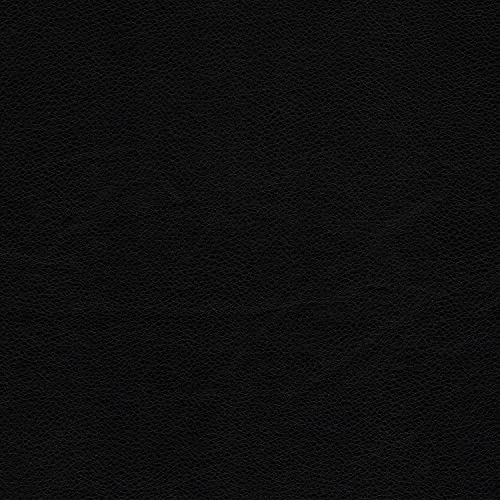 Lexicon Azrael Faux Leather Double Manual Reclining Sofa, 82