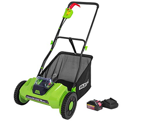 Wild Edge 16-Inch 40V Lithium-Ion Cordless Reel Lawn Mower, 2.0 AH Battery and Charger Included, 2021 Upgrade Version