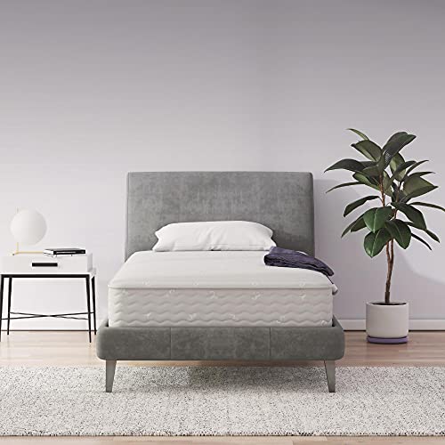 Signature Sleep Contour 8