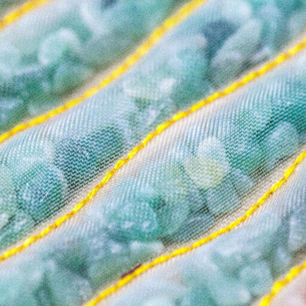 HealthyLine Rainbow Medium 5024 Firm PEMF InfraMat Pro® First Edition Chakra Mat New