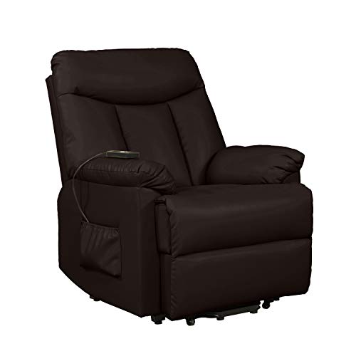 Domesis Renu Leather Power Lift Chair Recliner, Brown