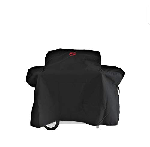 Wilmington Grill Cover