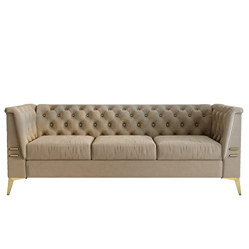 LEQEE Modern Velvet Sofa, Velvet Upholstered Sofa Couch with Stainless Steel Base