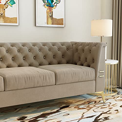 LEQEE Modern Velvet Sofa, Velvet Upholstered Sofa Couch with Stainless Steel Base