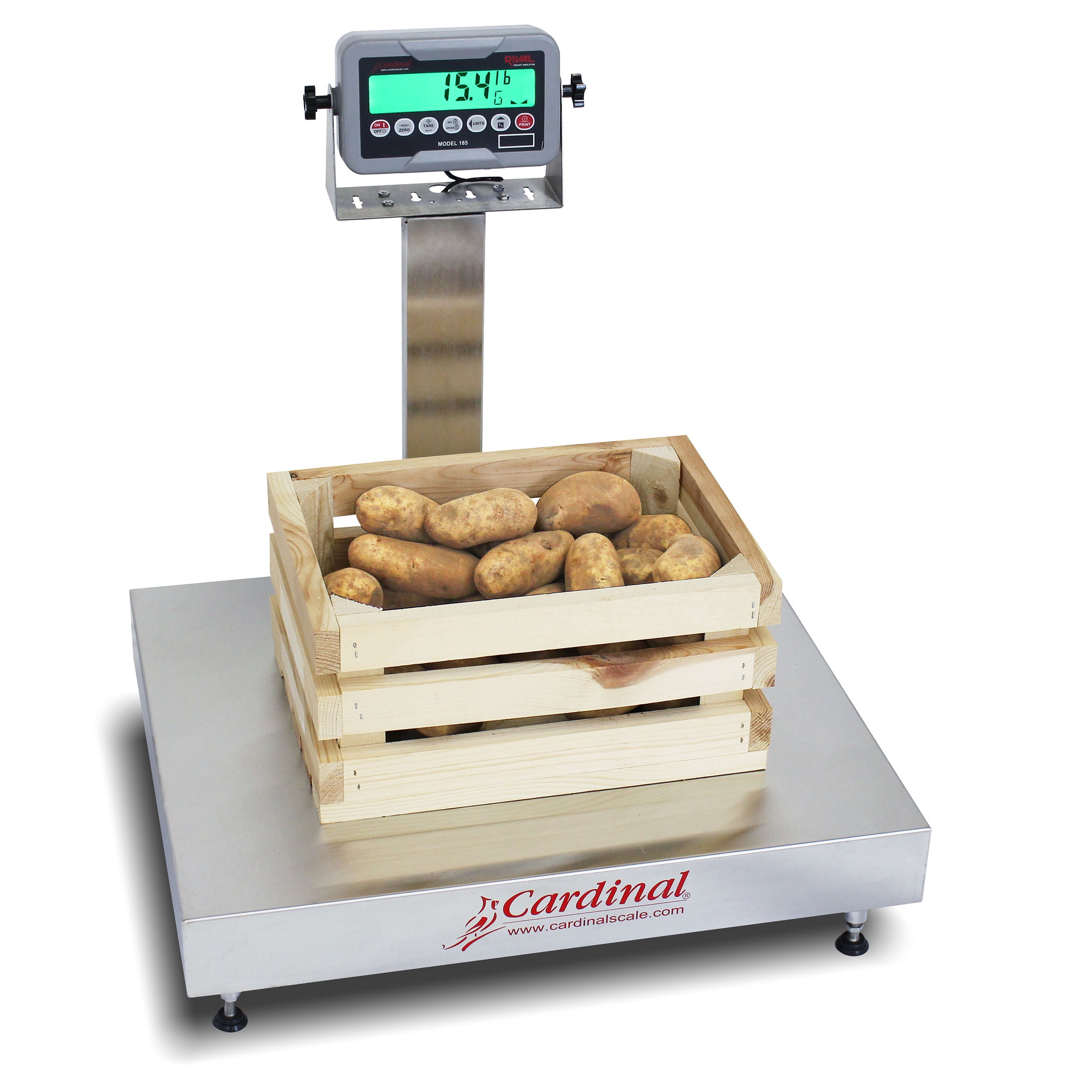 Cardinal EB-185 Series Bench Scale