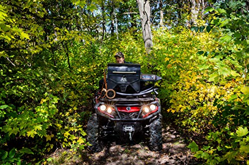 PIT BOSS 10538 PB206PSP2 Wood Pellet Grill, Black