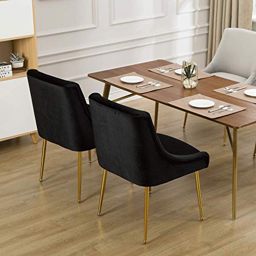 Modern Upholstered Velvet Dining Chair, Guest Chairs with Polished Gold Metal Legs, for Living Room/Kitchen/Dining Room/Patio, Set of 2 (Black)