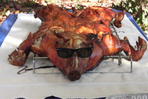 Latin Touch Caja China Roasting Box Pig Roaster 100lbs w/Free Cookbook and Bear Paws