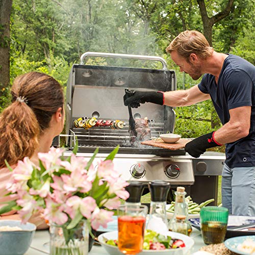 Weber 61011001 Genesis II E-310 Liquid Propane 3-Burner Grill, Black