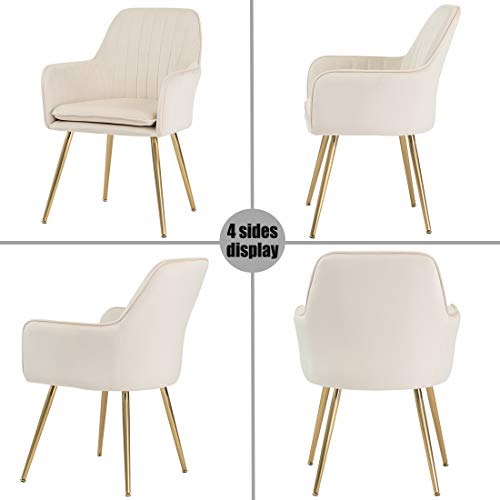 GOLDEN BEACH Velvet Dinning Chair Set of 2 Mid-Back Accent Chair Modern Leisure Armchair with Gold Plating Legs Upholstered Living Room Chair (Beige-2PCS)