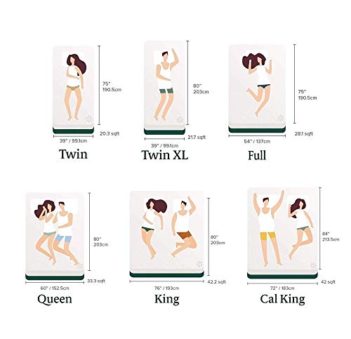 Zinus 12 Inch Euro Top Pocket Spring Hybrid Mattress / Pressure Relief / Pocket Innersprings for Motion Isolation / Bed-in-a-Box, Twin