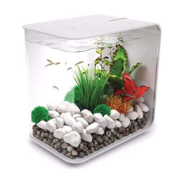 biOrb Flow 30L / 8 Gallon All-in-One Acrylic Aquarium Kit with Multicolor Light