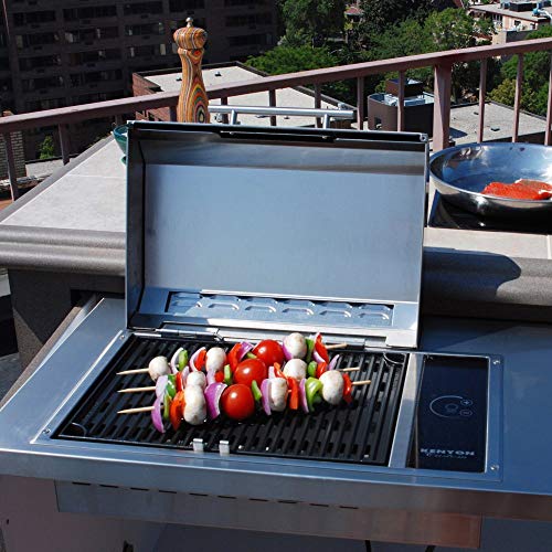 Kenyon B70050 Frontier All Seasons Built-In Stainless Steel Electric Grill, 120V