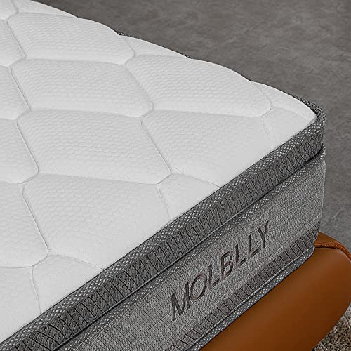 Molblly 10 Inch King Size Mattress with CertiPUR-US Certified Cool Comfy Memory Foam and Individually Pocket Spring Hybrid Innerspring Mattress in a Box, Medium Firm Skin-Friendly King Mattress