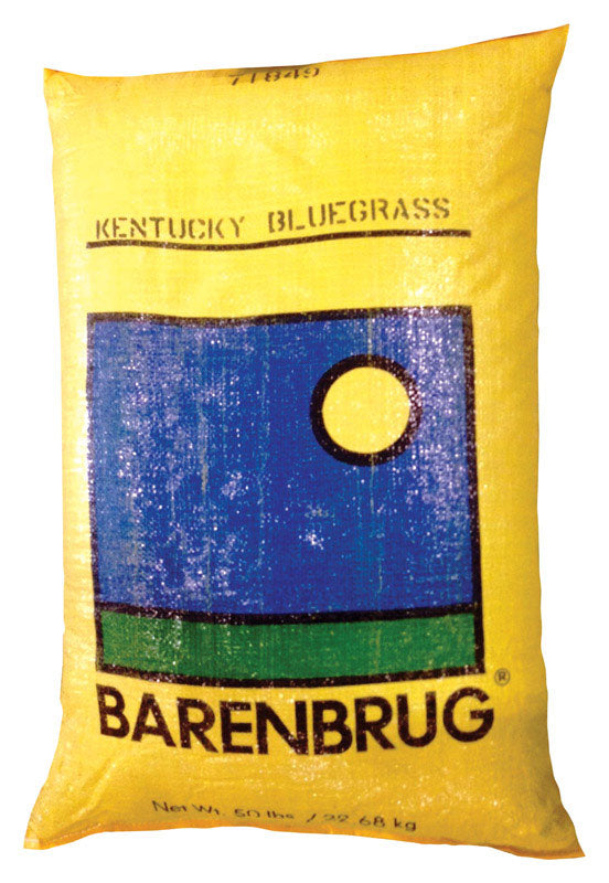 Barenbrug Kentucky Bluegrass Grass Seed 50 lb.