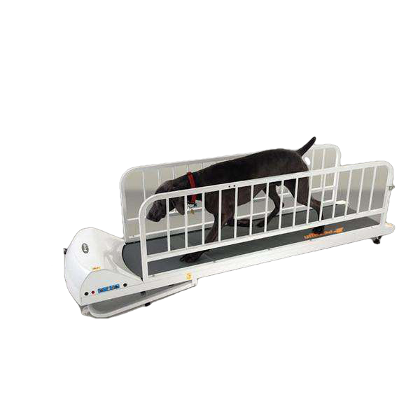 GoPet PR725 PetRun 25 Inch Large Breed up to 176 pounds Large Dog Treadmill New