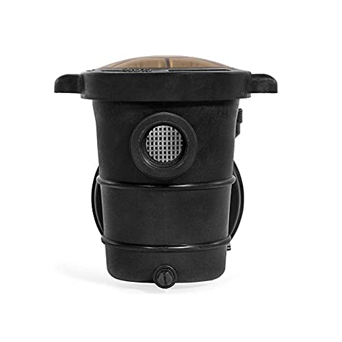 Blue Torrent Maxiforce 1 HP Dual Speed Pump with Manual On Off Switch for In Ground Swimming Pools, 75 GPM, 115V or 230V Plug, 2 Inch Threads