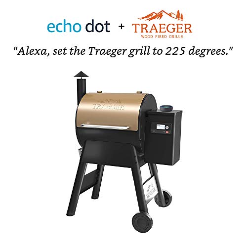 Traeger Grills TFB57GZEO Pro Series 575 Grill bundle with Echo Dot (3rd Gen) Charcoal