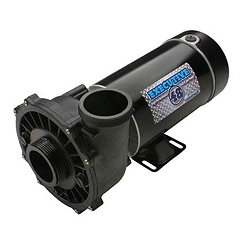 Waterway 3420410-1A 1 hp 115V 2-Speed Spa Pump 2