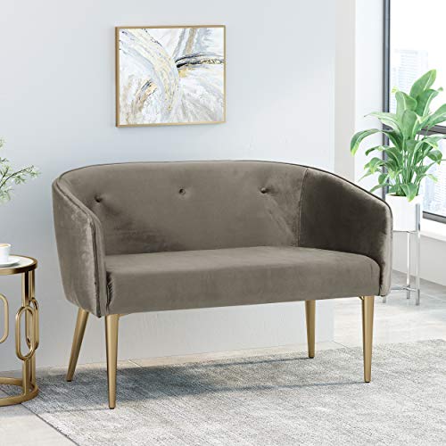 Christopher Knight Home Brayer LOVESEAT, Gray + Gold
