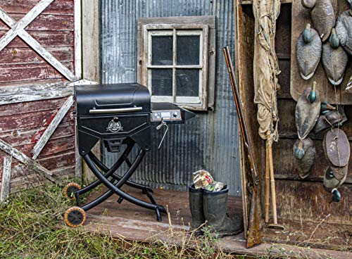 PIT BOSS 10538 PB206PSP2 Wood Pellet Grill, Black