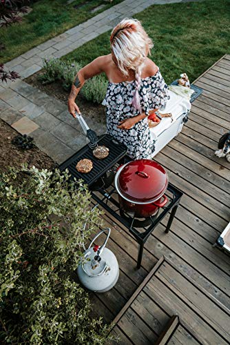 GasOne B-5000+50450 Burner & Cover 2 Burner Gas Stove Outdoor Propane, 30.75 x 15.75 x 18.5 inches, Black