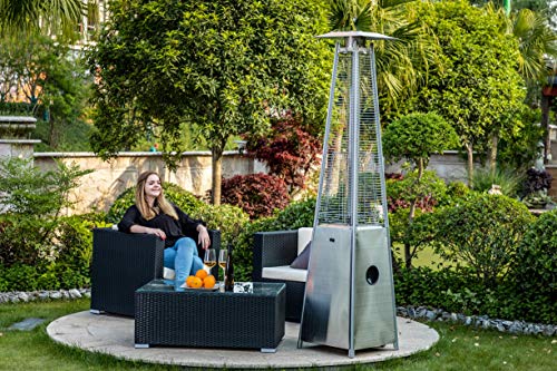 Legacy Heating Quartz Galss Tube Patio Heater, Visual Flame Heater 40000BTU (Stainless Steel)