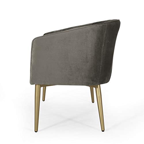 Christopher Knight Home Brayer LOVESEAT, Gray + Gold