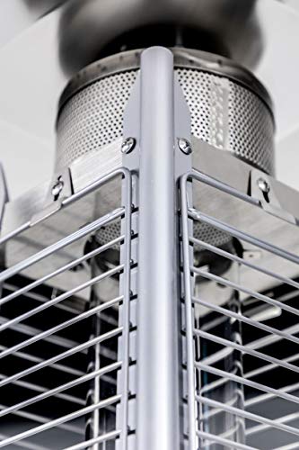 Legacy Heating Quartz Galss Tube Patio Heater, Visual Flame Heater 40000BTU (Stainless Steel)
