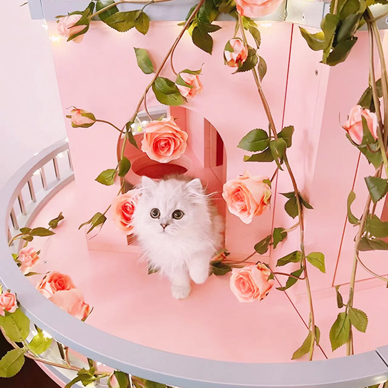 Cat Dreamy Castle