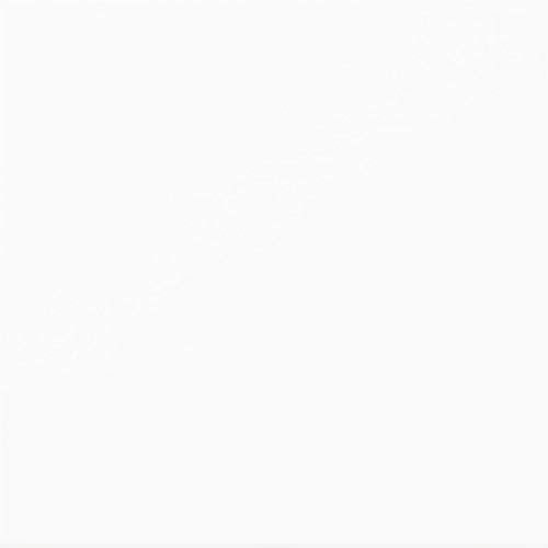 Dorel Living Milton Junior Twin Loft Bed, White