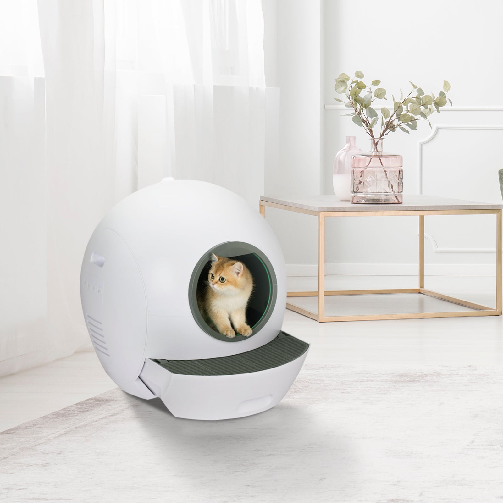 Self-cleaning Cat Litter Box