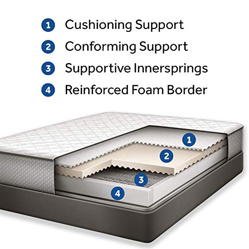 Sealy Essentials Spring Osage Bed Mattress Conventional, California King, White