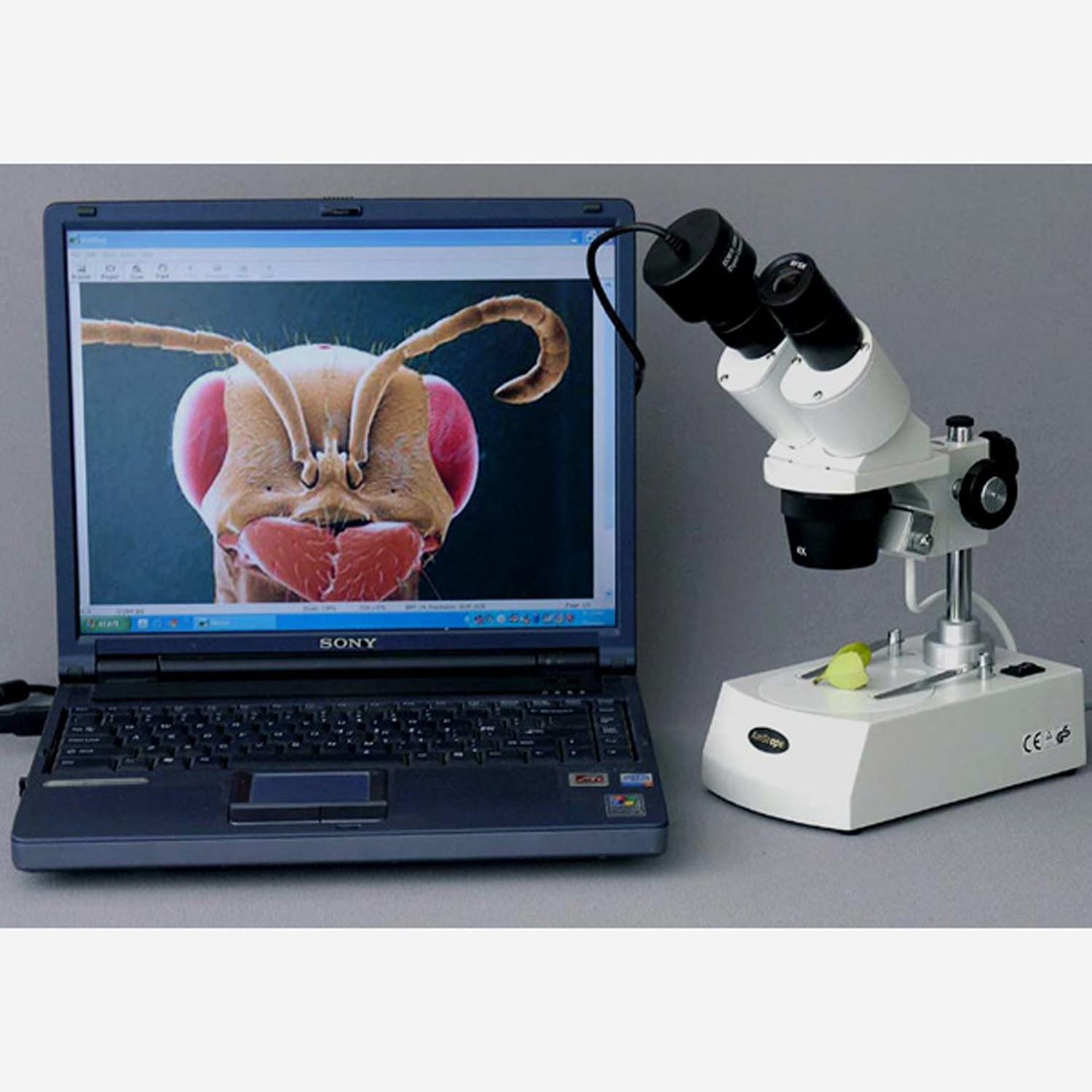 Amscope SE306R-PZ-3M 20X - 80X 3MP Digital Camera Compact Multi Lens Stereo Microscope New