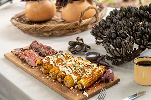 Megamaster 820-0033M Propane Gas Grill, Stainless Steel