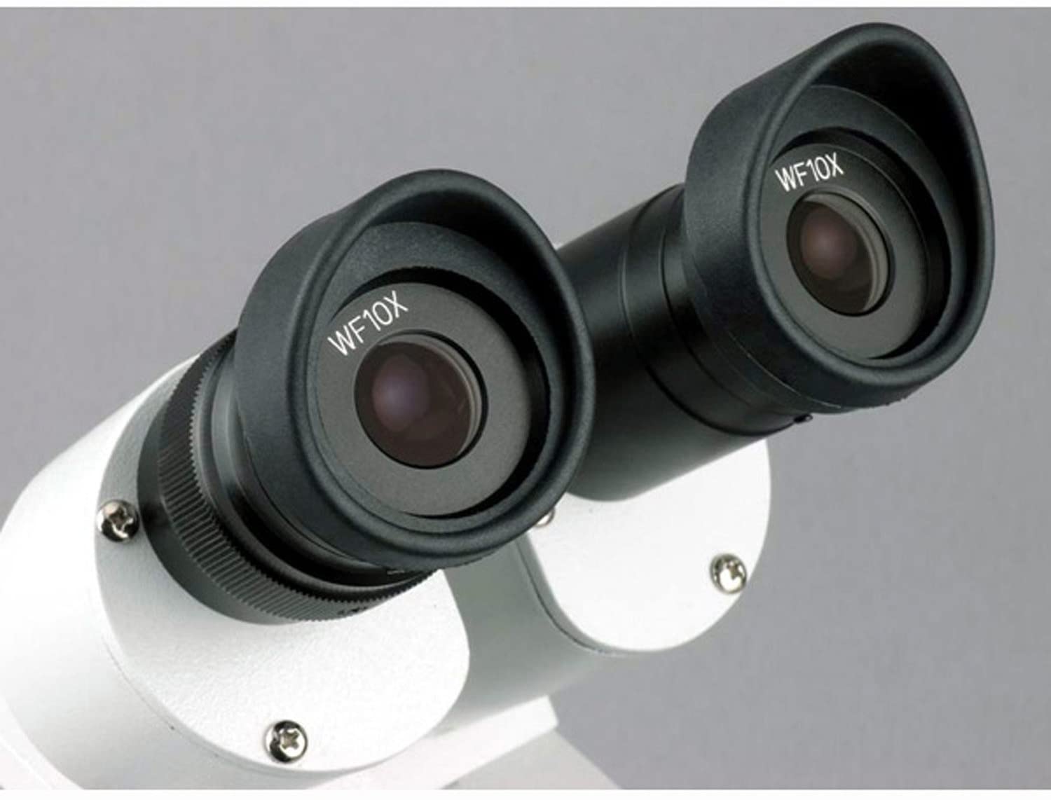 Amscope SE306R-PZ-3M 20X - 80X 3MP Digital Camera Compact Multi Lens Stereo Microscope New