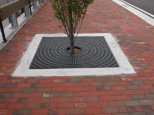 PolyGrate TSB44, 4' Square Tree Grate