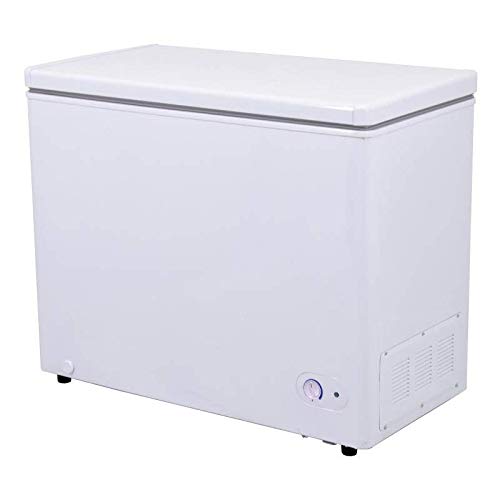 40 Inch Chest Freezer With Solid Flat Top FR-CN-0198
