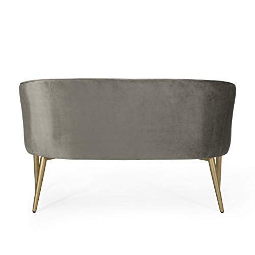 Christopher Knight Home Brayer LOVESEAT, Gray + Gold