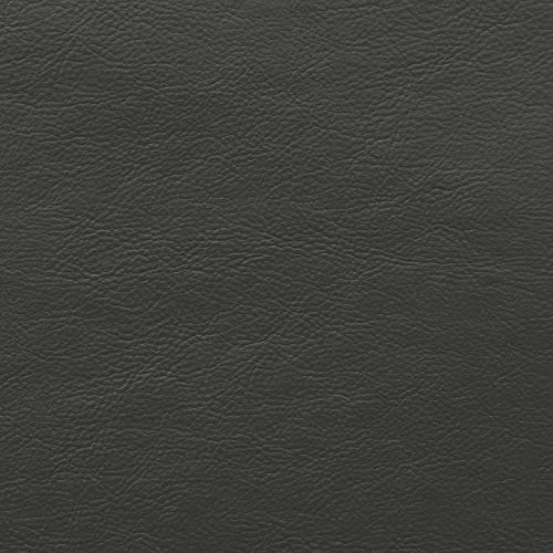 Lexicon Maysville Leather Gel Match Track Arm Sofa, 79.5