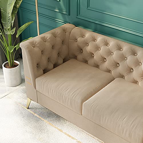 Melpomene Mid-Century Chesterfield Tufted Velvet Transitional Sofa Couch with Stainless Steel Leg 82.68