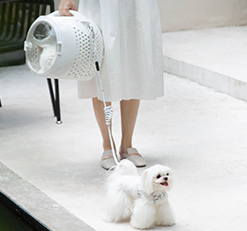 Space Outdoor Cat Carrier