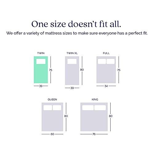 Signature Sleep Contour 8