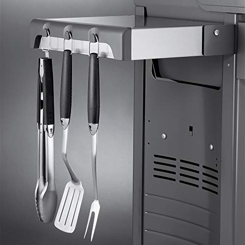 Weber 46110001 Spirit E-210 Gas Grill | Liquid Propane, 2-Burner | Black