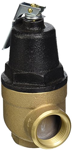 Pentair A0000400 125-PSI Pressure Relief Valve Replacement MT Commercial Pool and Spa Heater